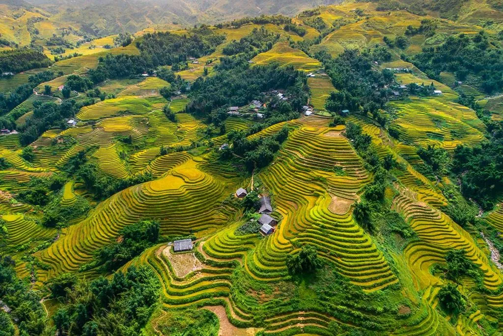Spektakuläre terrassierte Reisfelder in Sapa, ein Muss für jede Nordvietnam Reise