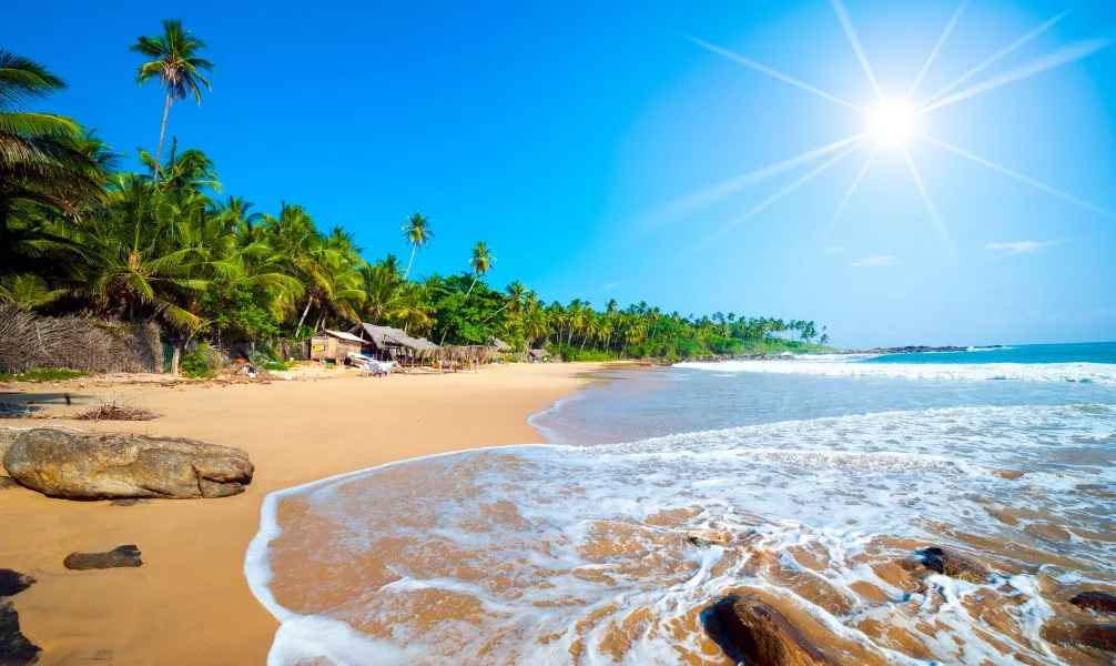 Sri Lanka: Teeplantagen, Elefanten und palmengesäumte Strände.