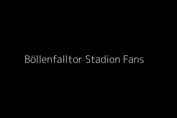 Stadion am Böllenfalltor mit Zuschauern