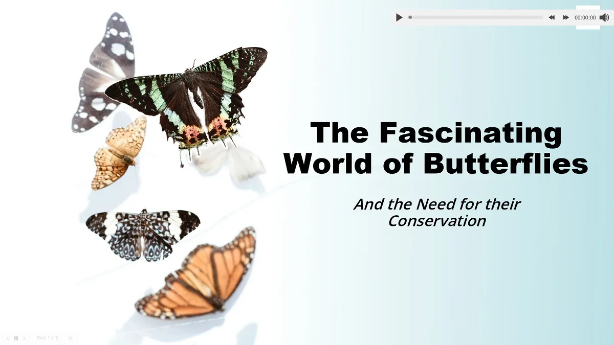 Starten der Bildschirmpräsentation mit Audio in ONLYOFFICE