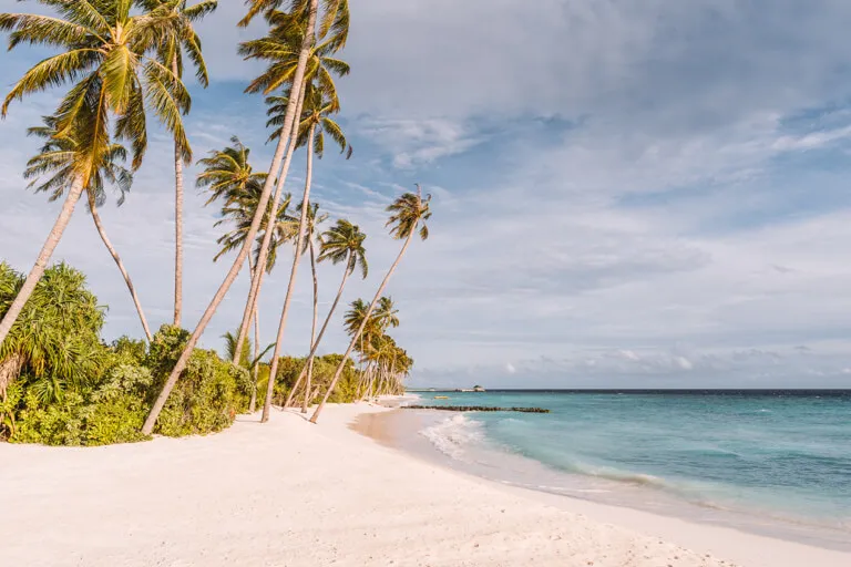 Strand auf einer der Malediveninseln mit kristallklarem Wasser