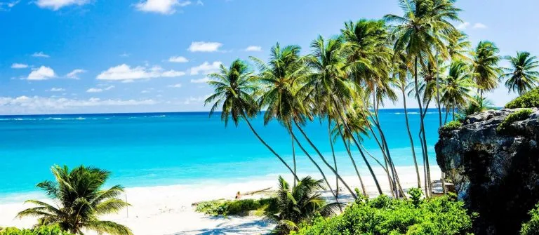 Strand in Punta Cana mit Palmen und türkisfarbenem Wasser