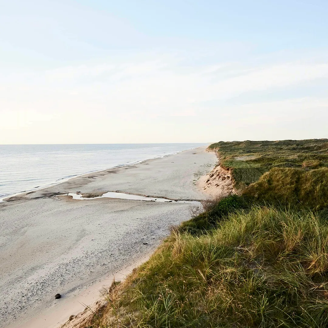 Strandkorb und Dünen an der Nordseeküste