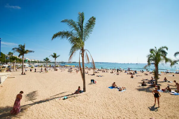 Strandpromenade in Barcelona, Spanien mit Palmen im Vordergrund