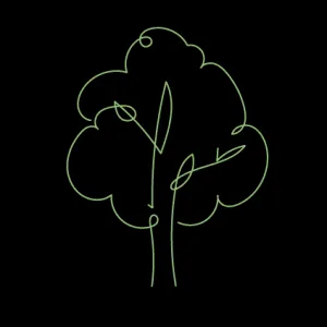 Symbolbild für Naturerlebnisse