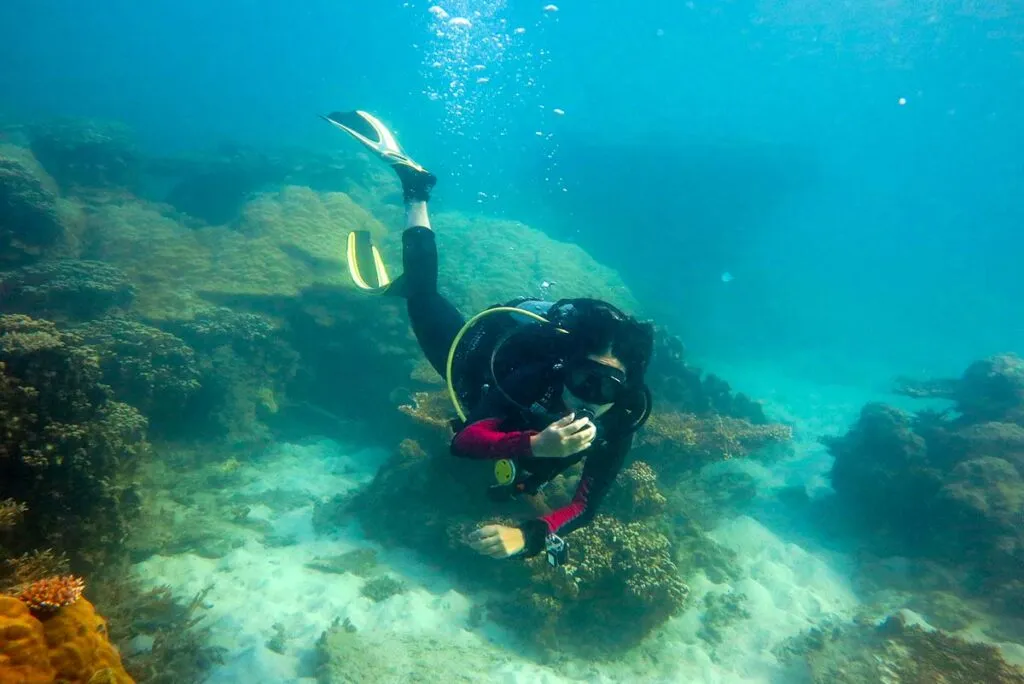 Tauchen auf den Con Dao-Inseln in Vietnam