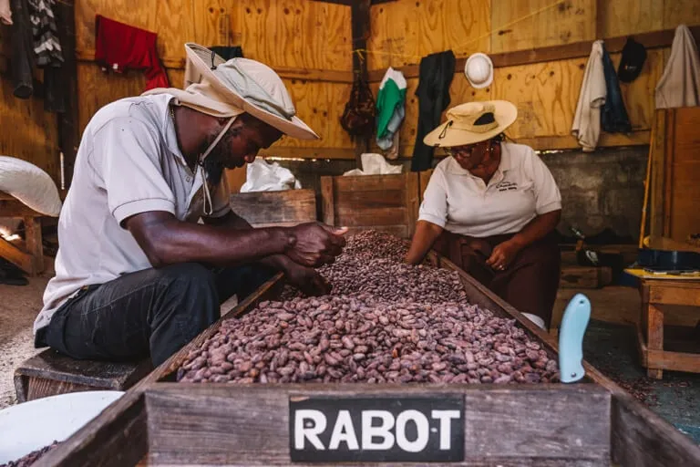 Teilnehmer bei einer Bean-to-Bar Tour im Project Chocolat auf St. Lucia