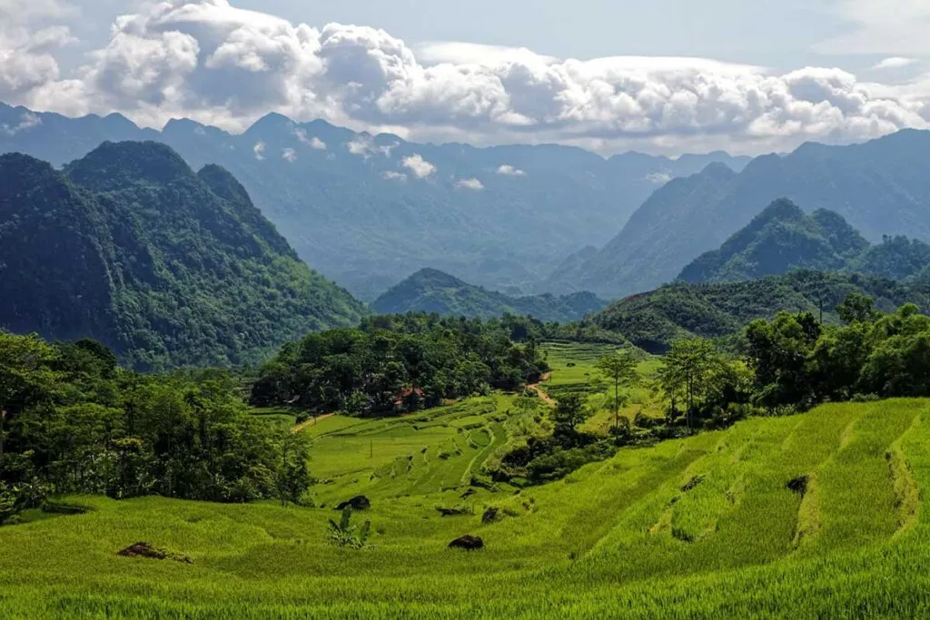 Terrassierte Felder und üppige Vegetation im Pu Luong Naturreservat, ein verstecktes Juwel in Nordvietnam