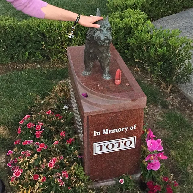 Terry als Toto, der clevere Cairn Terrier aus &quot;Der Zauberer von Oz&quot;