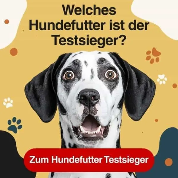 Testsieger Hundefutter für anspruchsvolle Hundehalter