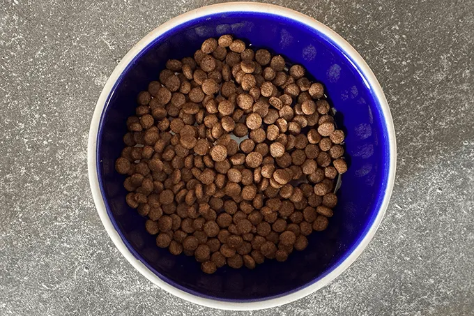 The Better Cat Better Bird Trockenfutter Briketts in einer Schale