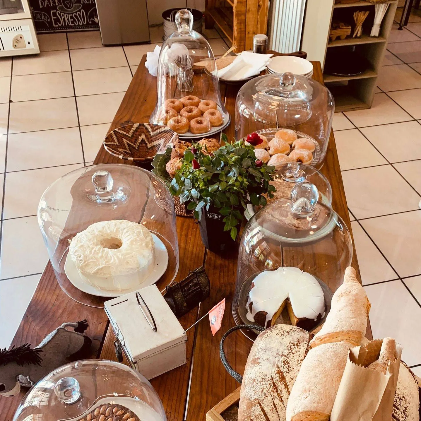 The Dusty Donkey Cafe Botswana Maun