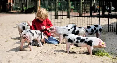 Tierpark Nordhorn: Familienfreundliche Tierbegegnungen in naturnaher Umgebung