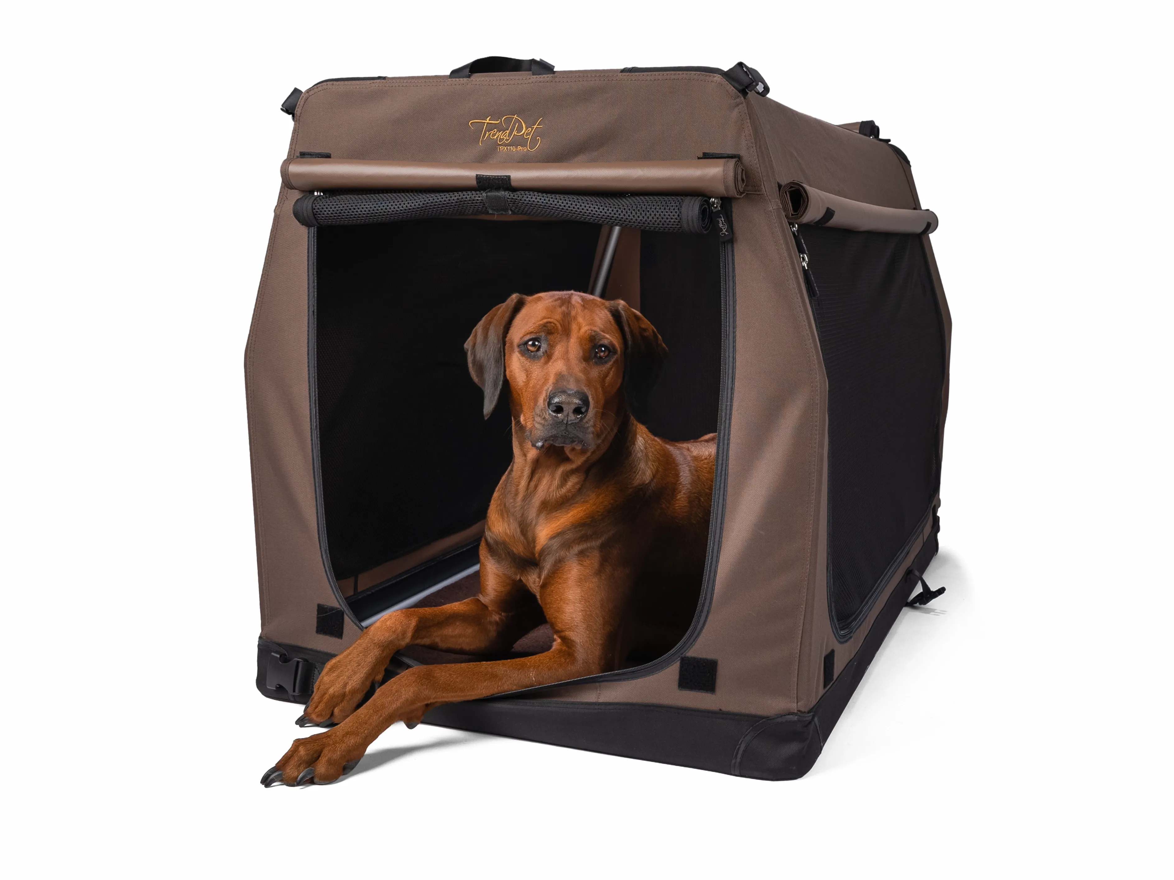 TPX-110 Pro faltbare Hundebox im Größenvergleich