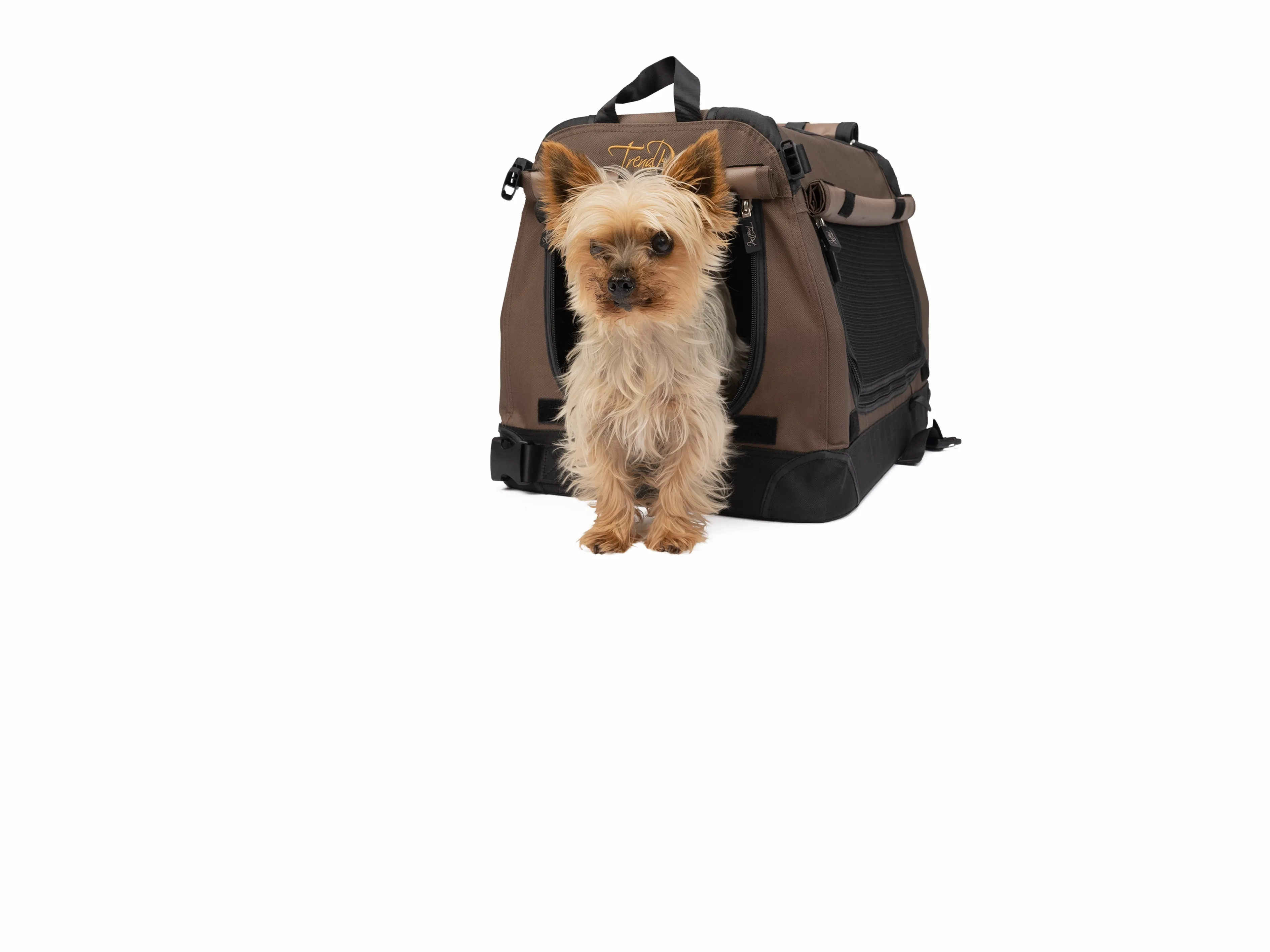 TPX-50 Pro faltbare Hundebox im Größenvergleich