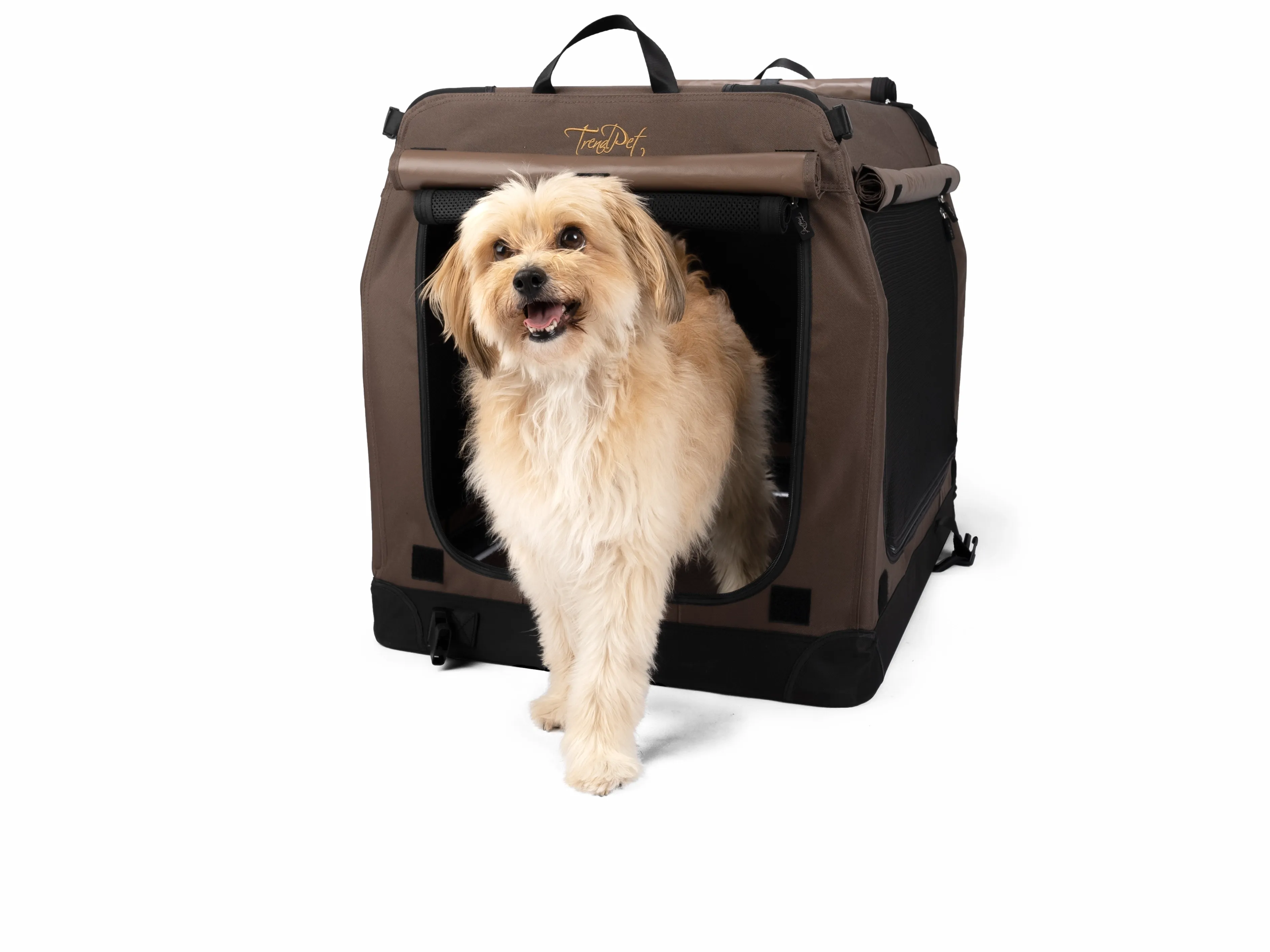 TPX-75 Pro faltbare Hundebox im Größenvergleich