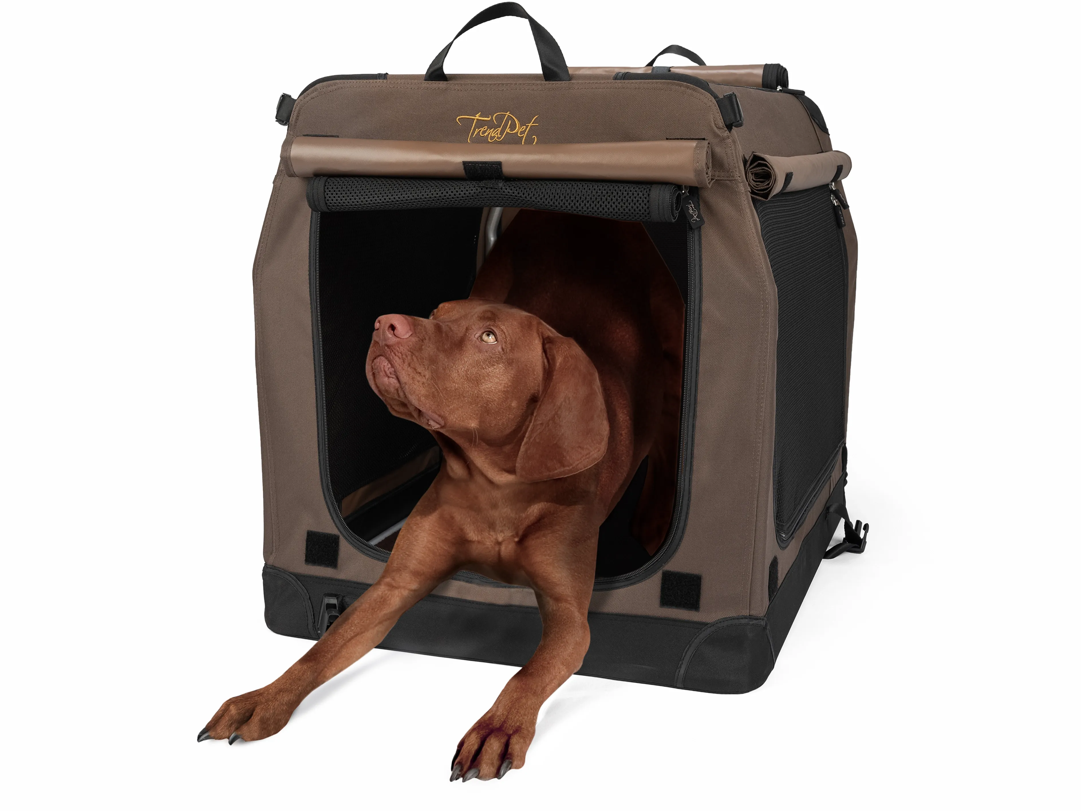 TPX-90 Pro faltbare Hundebox im Größenvergleich