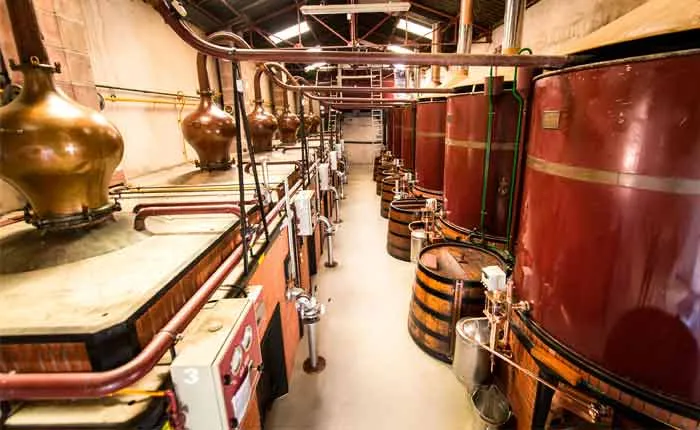 Traditionelle Kupferbrennblasen (Alambics) zur doppelten Destillation von Cognac
