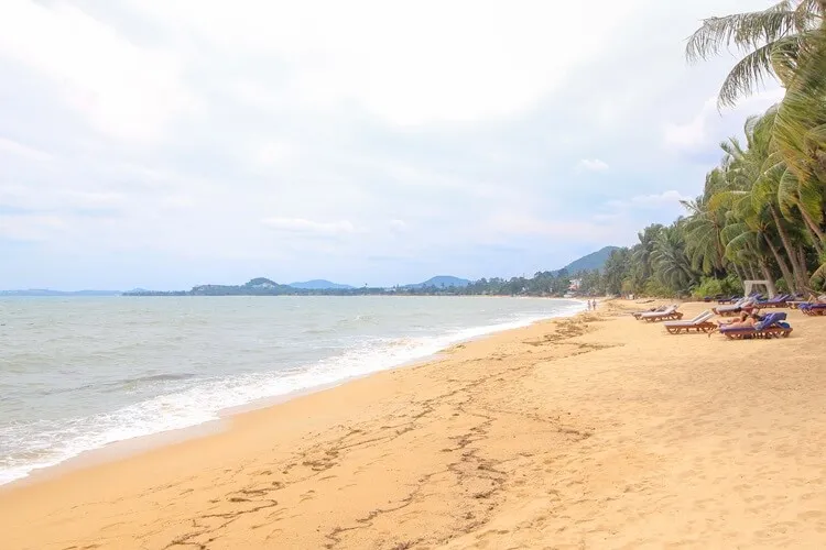 Traumstrand mit Palmen und türkisblauem Meer auf Koh Samui, ein perfektes Fernreiseziel im Sommer ohne Regenzeit