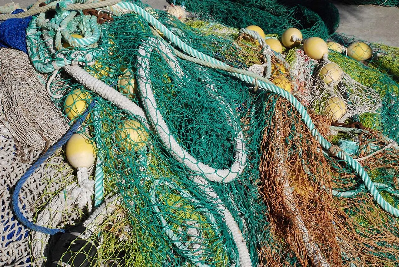 Überfischung (2).jpg