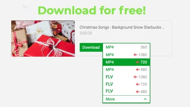 Übersicht der Download-Optionen für YouTube Videos auf dem PC mit Formatauswahl