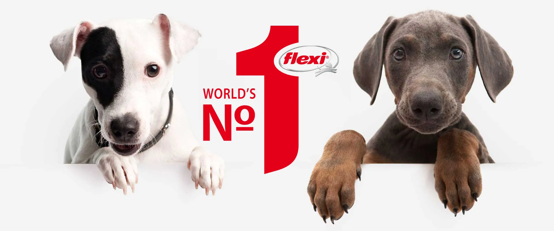 Übersicht der flexi Hundeleinen Modelle auf einer Desktop-Website