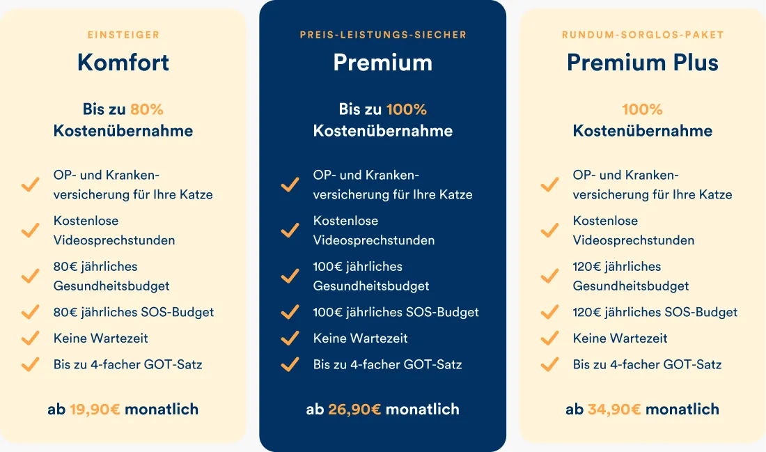 Übersicht der Petolo Katzenkrankenversicherungs-Tarife, die Kosten für Zahnsteinentfernung und andere Behandlungen abdecken.