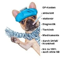 Uelzener Hunde-Op Versicherung Leistungen