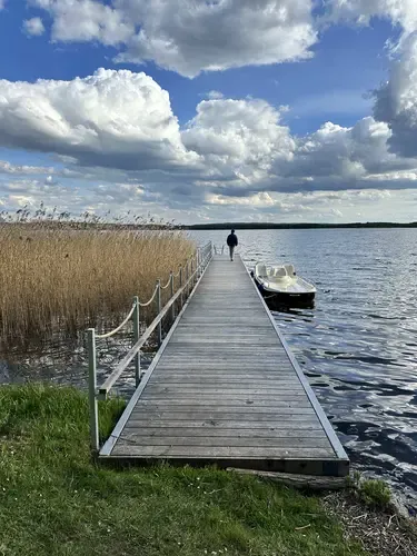 Uferbereich des Tollense-Sees mit Natur und Steg