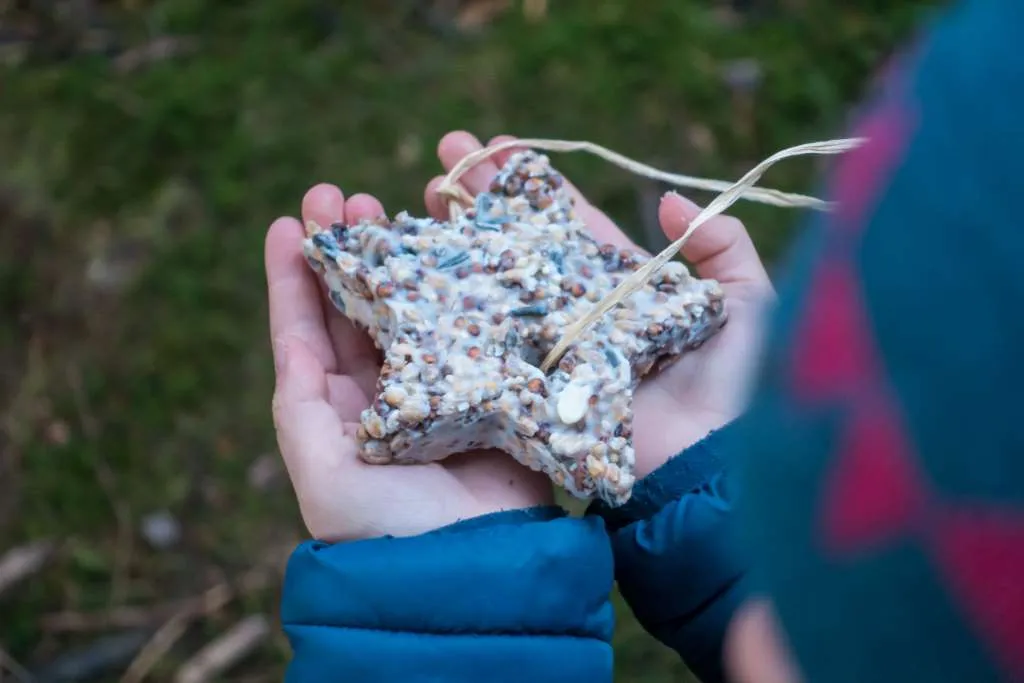 Umweltschutz Kinder Vogelfutter
