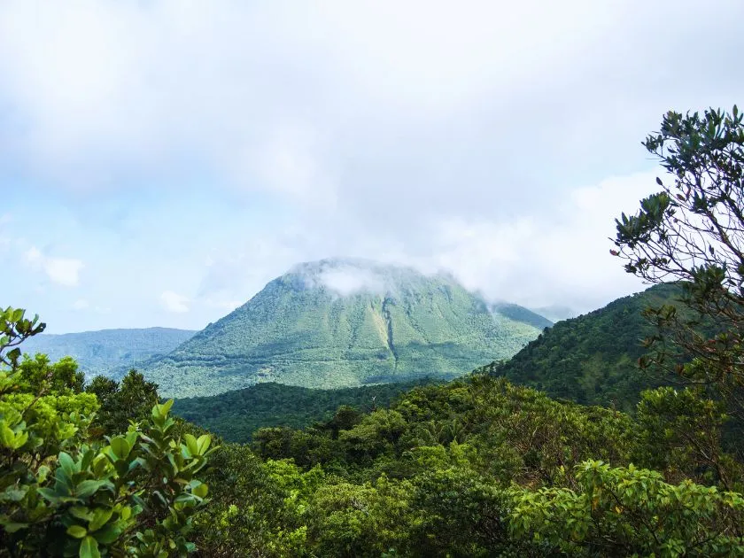 Üppige grüne Landschaft von Dominica mit dichtem Regenwald und Bergen