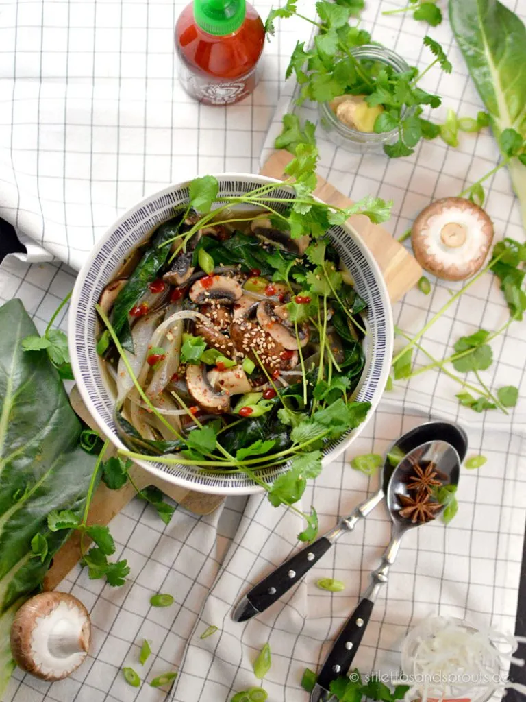 Vegane Asia Nudelsuppe mit Gemüse