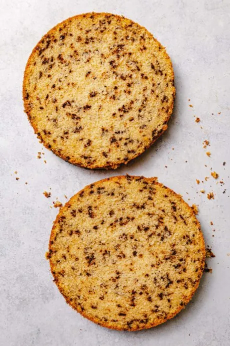 Veganer Biskuitboden im Backrahmen, goldbraun gebacken