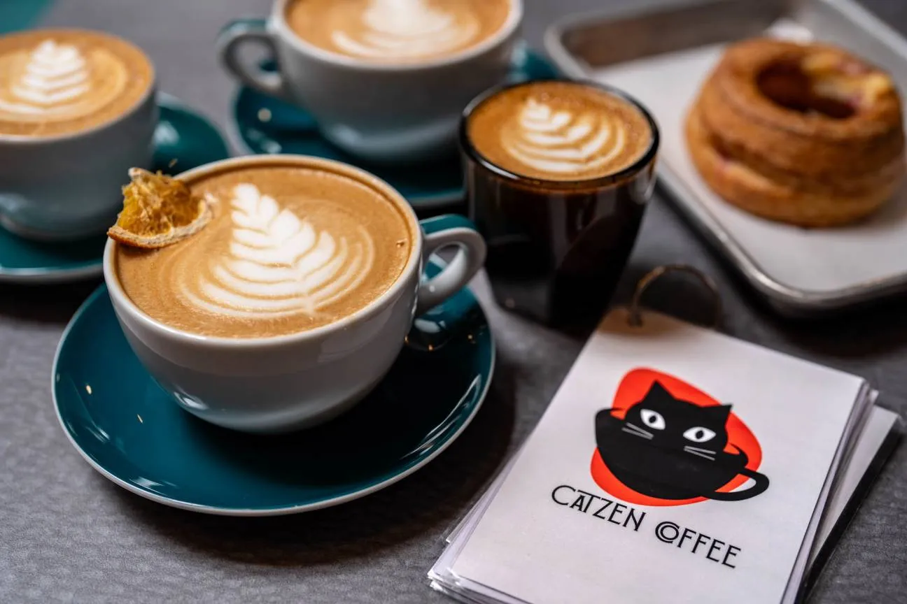 Veranstaltung in einem Katzen Café