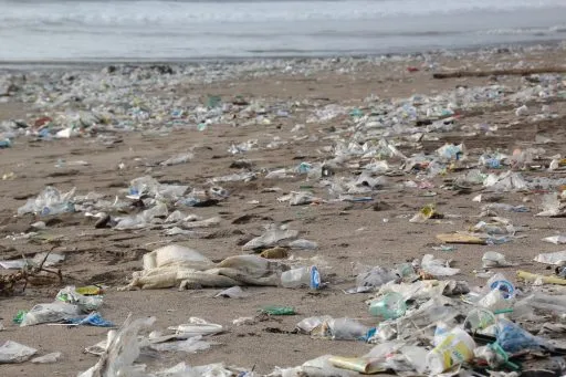 Verschmutzter Strand mit verstreutem Plastikmüll und Abfällen am Sandufer