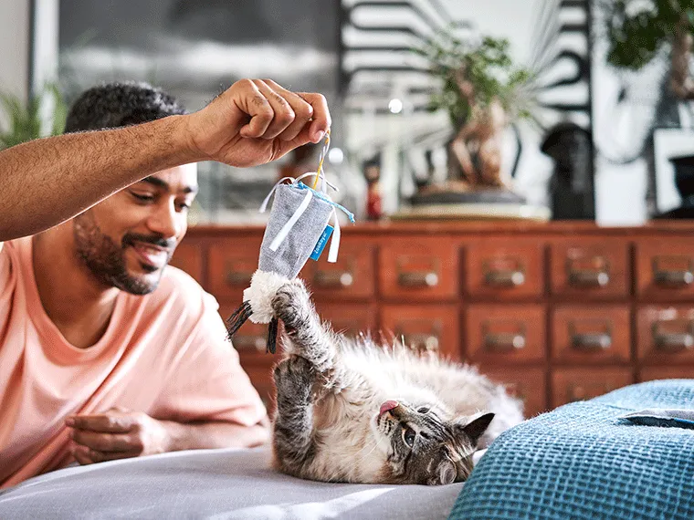 Verspielte Katze mit interaktiver Spielzeugmaus, ein Beispiel für die Ausgaben für Katzenspielzeug und Unterhaltung.