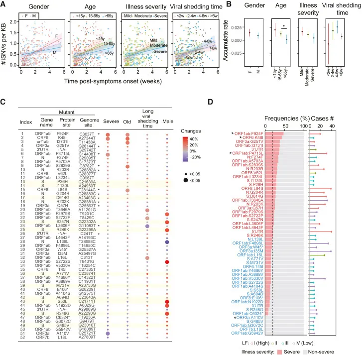 Verteilung von iSNVs in verschiedenen Patientengruppen