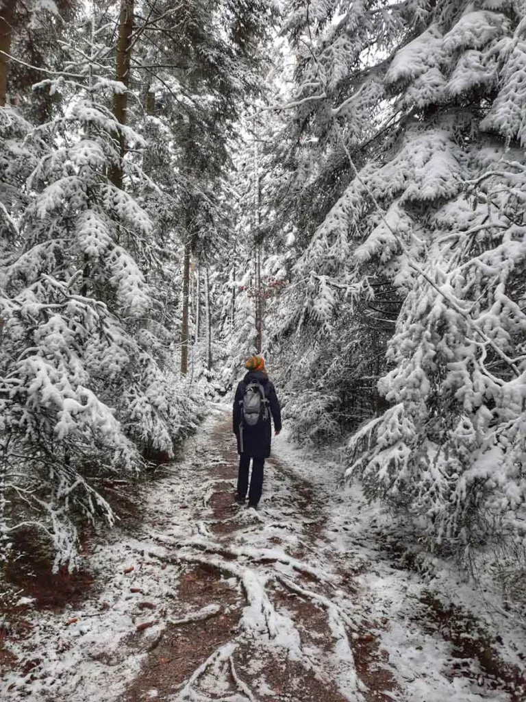 Verzauberter Winterspaziergang im verschneiten Schwarzwald, eine idyllische outdoor aktivität