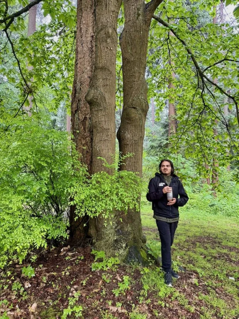 Vielen Dank für die äußerst interessante Talking Trees Tour im Stanley Park, lieber Gavin, liebes Team von Talaysay Tours!