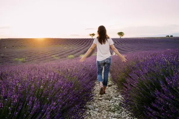 Vielfältige Reisegruppe auf einer Studiosus me &amp; more Tour knüpft neue Kontakte