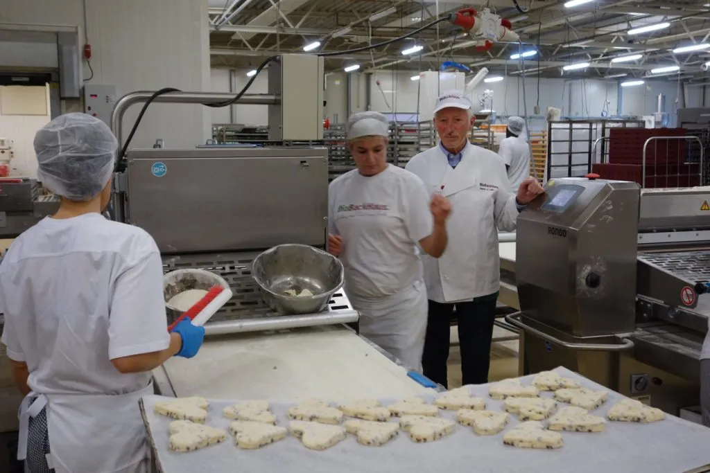 Vielfältiges Bio-Brot-Sortiment aus der Produktion des BioBackHauses.