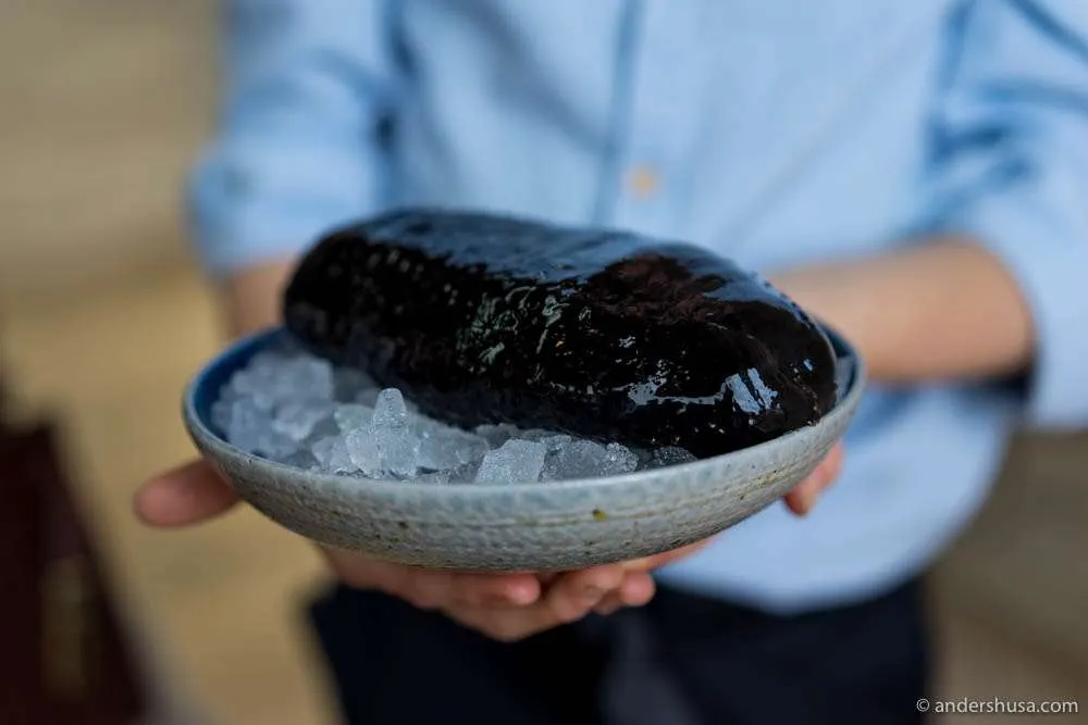 Von Redzepi präsentiertes Seegurken