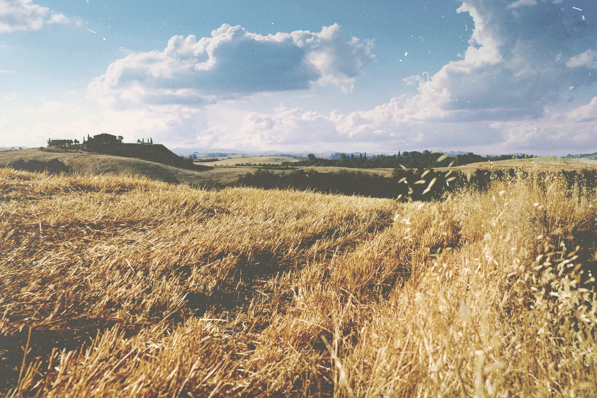 VSCO Cam Tutorial – Final (mit Texturen)
