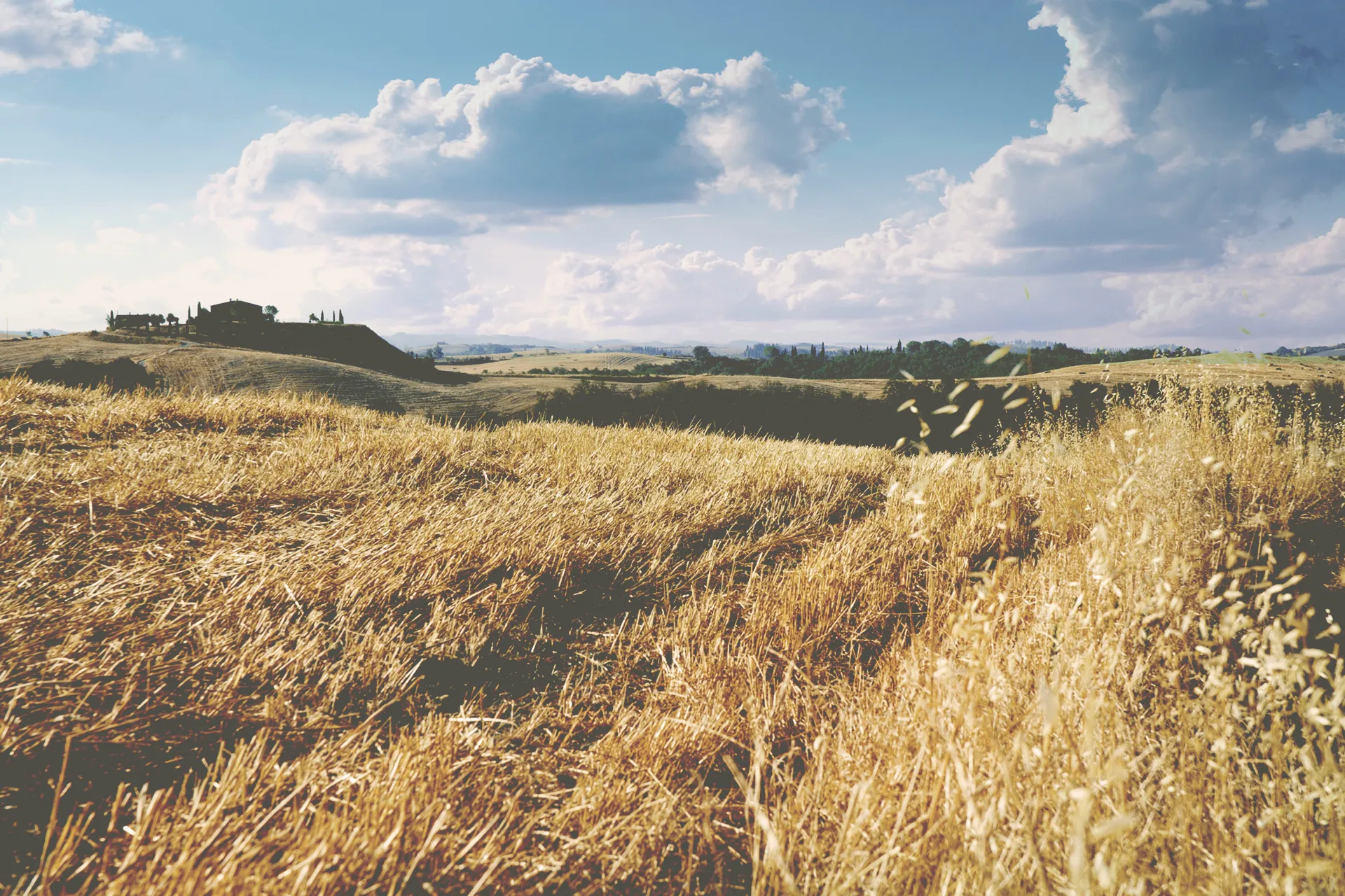 VSCO Cam Tutorial – Final (ohne Texturen)