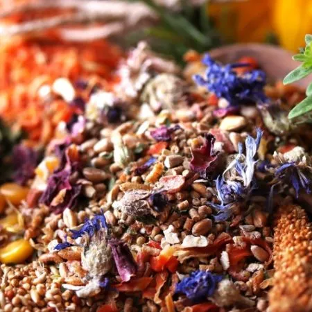 Wachtel Shop Spezial Original 10kg | WachtelGold®