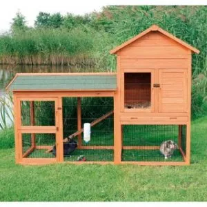 Wachtelstall Fortgeschrittene