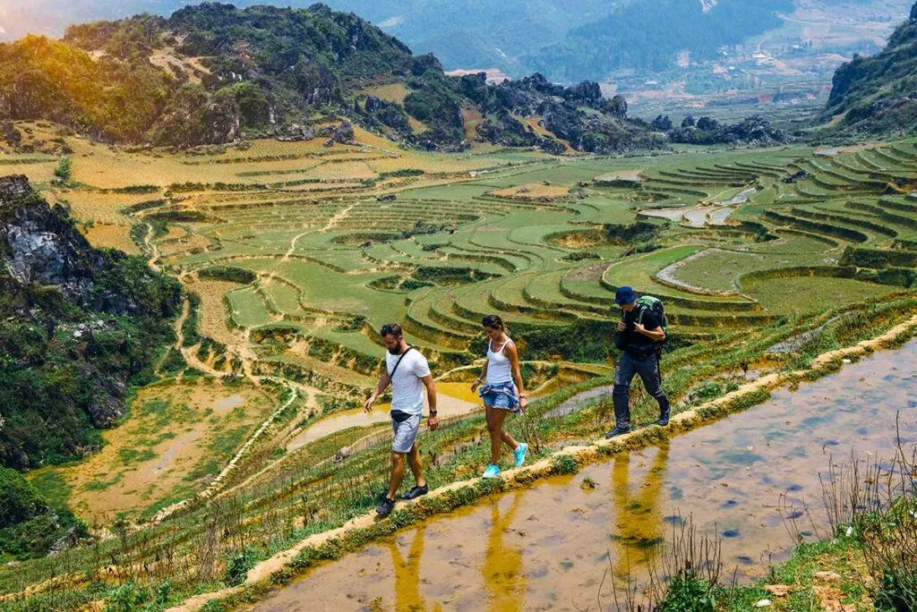 Wanderer erkunden die Reisterrassen beim Trekking in Sapa, ein authentisches Erlebnis in Nordvietnam