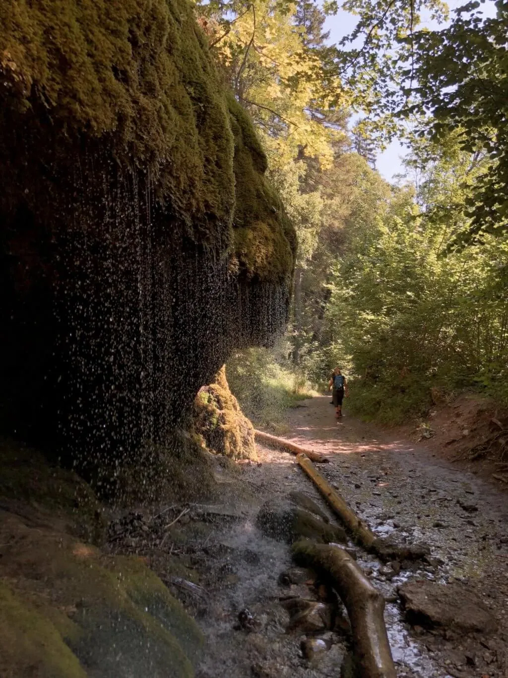Wanderer in der Wutachschlucht im Schwarzwald