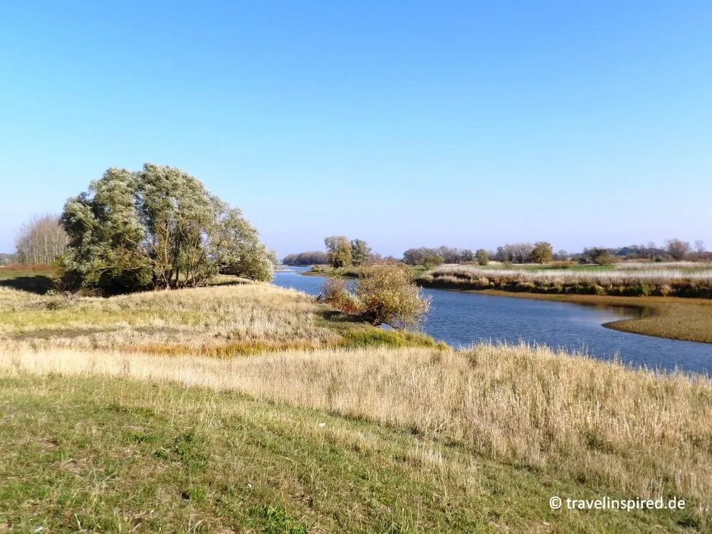 Wandern im Biosphärenreservat Niedersächsische Elbtalaue, Niedersachsen Ausflugstipp