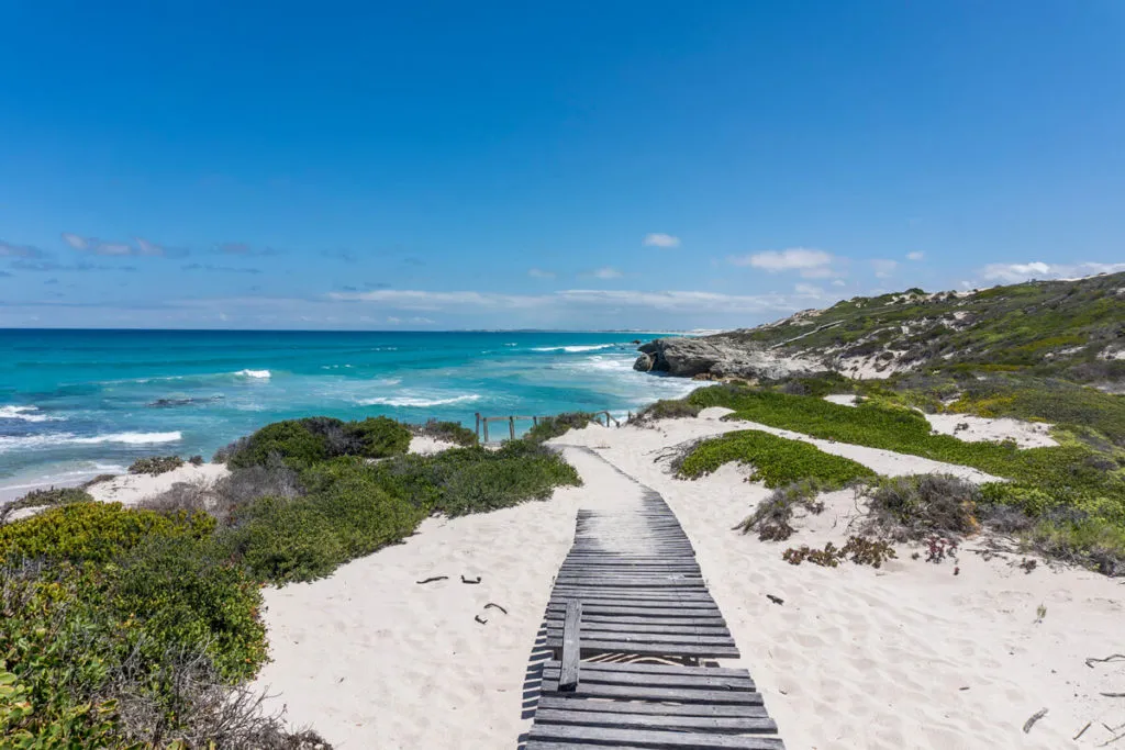 Wanderungen auf dem Whale Trail im De Hoop Nature Reserve, bekannt für seine beeindruckenden Sanddünen und Wildtiere
